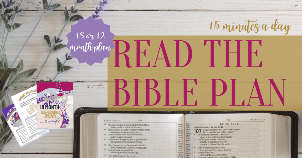 Try our Read the Bible Plan, in just 15 minutes a day, you'll read through the New Testament twice and Old Testament once.